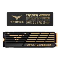 Team Group T-Force CARDEA A440 黑曜女神M.2 PCIe SSD Gen4 (雙